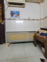 bichdao12